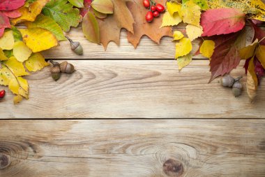 Sonbahar yaprakları ve meşe palamutları ahşap arka plan üzerinde. Uzay kopyalayın. Üstten görünüm