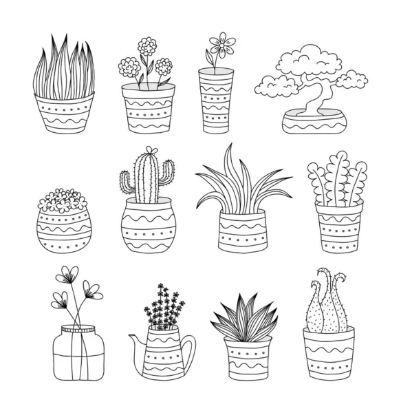 Doodle vasos de flores — Vetor de Stock