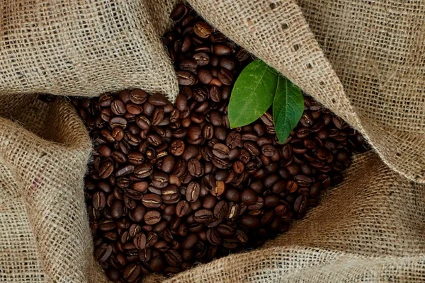 Uma Foto Estúdio Perto Grãos Café Torrados — Fotografia de Stock