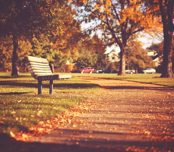 Banc Unique Sur Sentier Dans Parc Automne Avec Des Feuilles — Photo