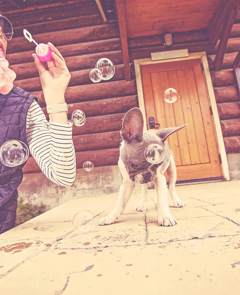 Милый Французский Бульдог Играет Пузырьками Тонированные Ретро Винтажный Фильтр Instagram — стоковое фото