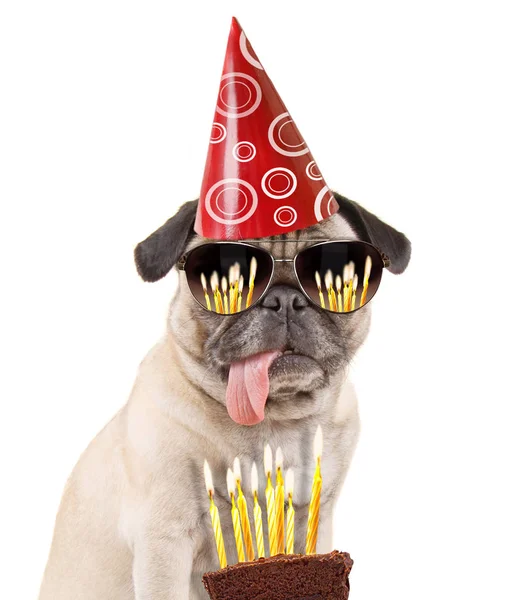 Lindo Pug Mirando Pedazo Pastel Cumpleaños Con Velas —  Fotos de Stock