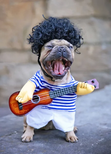Terrier Buldog Francuski Gra Gitarze Śpiewając Zewnątrz — Zdjęcie stockowe