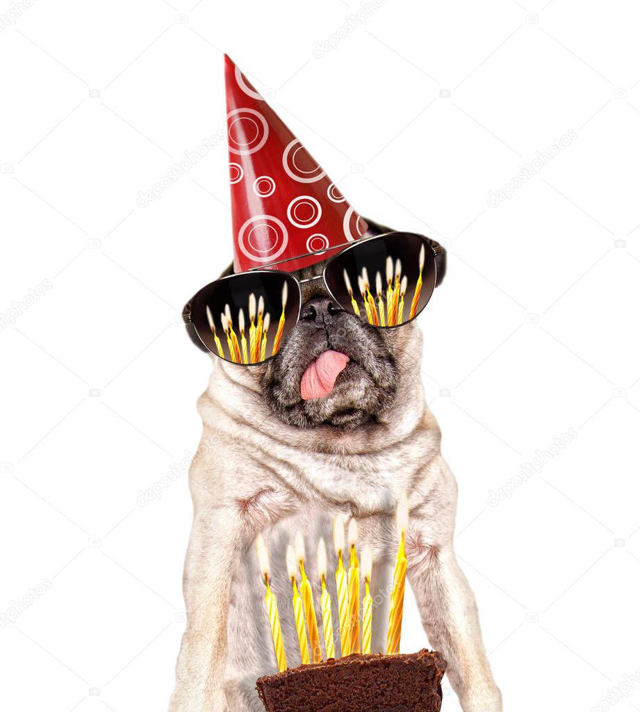 cute pug looking at a piece of birthday cake with candles on it