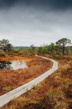 Bataklık Kakerdaja Estonya üzerinde iz