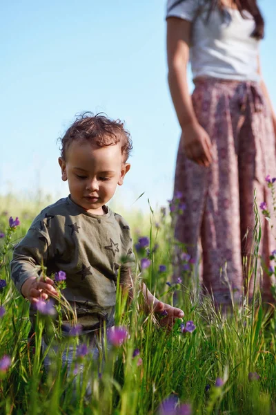 Young curious boy looking at wild flowers in a field, mother on background