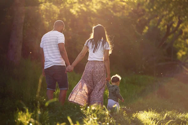 Vue Arrière Famille Marchant Dans Parc Avec Petit Bébé Garçon — Photo