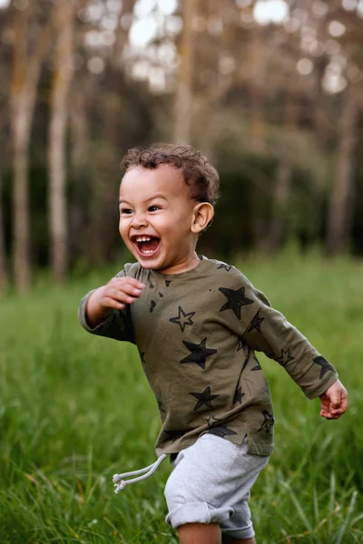 幼児男の子の緑の緑のフィールドで実行されている幸せな無邪気な子供時代 — ストック写真