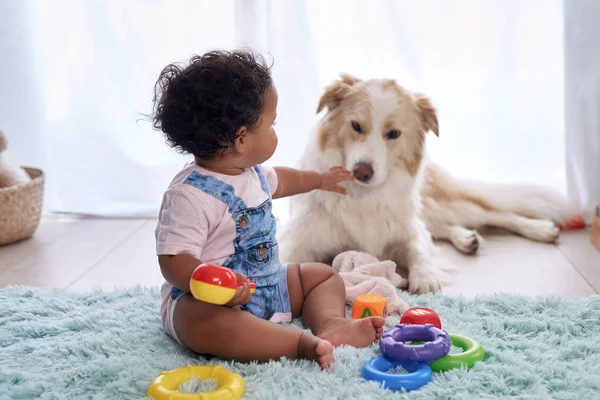 Baby Meisje Zittend Vloer Spelen Met Familie Huisdier Labrador Hond — Stockfoto