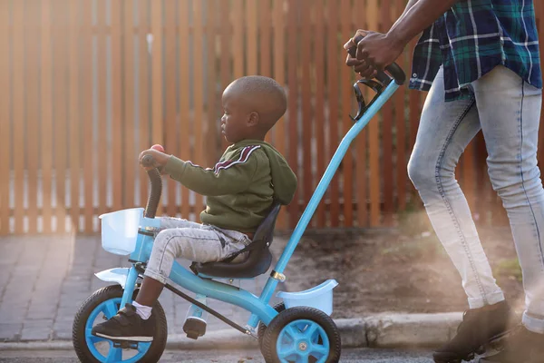 Papa poussant fils sur vélo Images De Stock Libres De Droits