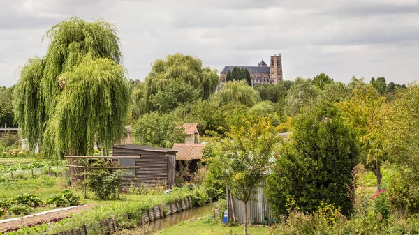 Bourges Kathedrale Blick von den Sümpfen — Stockfoto