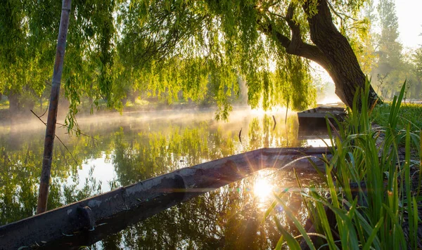 Sümpfe der Bourges im Nebel — Stockfoto