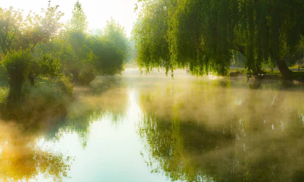 Nebel über dem Fluss in den Sümpfen von Bourges City — Stockfoto