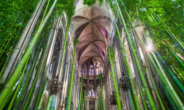 Konsep katedral bambu, paduan suara alam — Stok Foto
