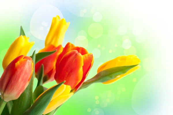 Spring Easter Flower Background. Spring Holidays.