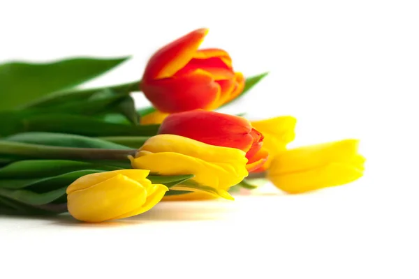 Святкові Весняні Тюльпани Букет Квітів Красивий Букет Квітів Тюльпанів Ізольований Стокова Картинка
