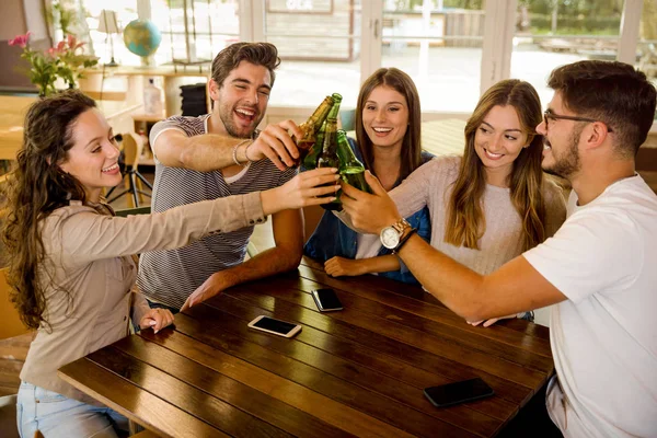 Gruppo Amici Che Escono Fanno Brindisi Con Birra — Foto Stock