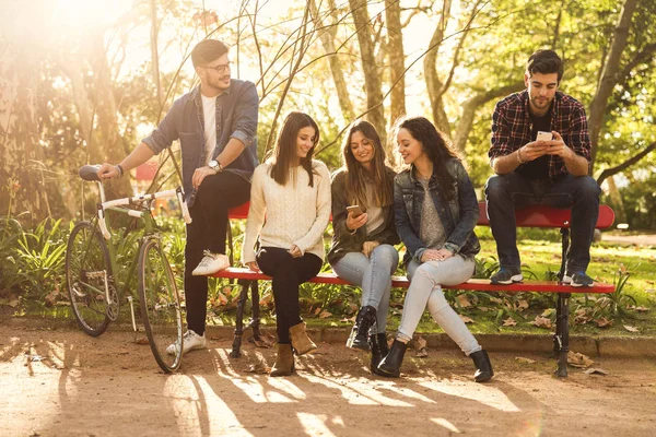 Group Students Park Having Fun Together — Stock Photo, Image