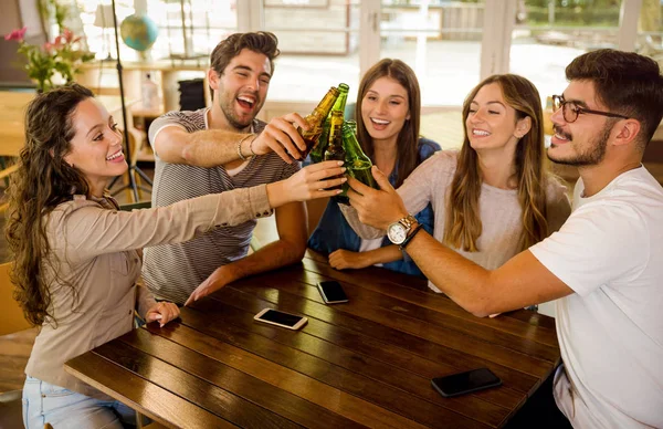 Gruppo Amici Che Escono Fanno Brindisi Con Birra — Foto Stock