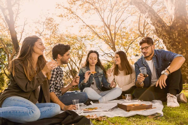 Vänner Parken Att Göra Picknick — Stockfoto