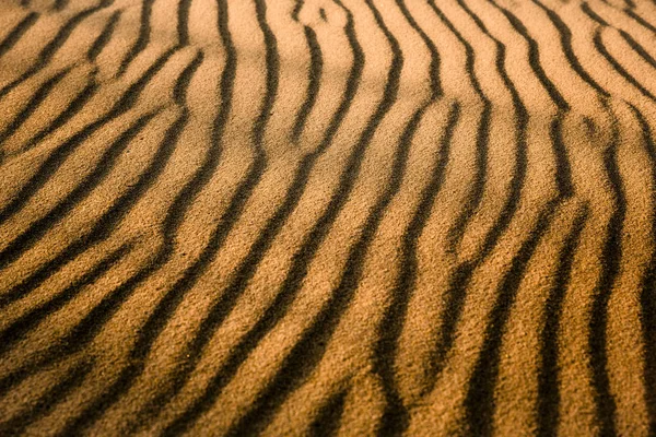 Beautiful Lansdscape View Golden Sand — Stock Photo, Image
