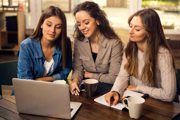 Grupp Vackra Kvinnliga Vänner Som Studerar Tillsammans — Stockfoto