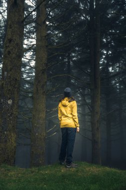 Sisli bir sabahta ormanın tadını çıkaran bir kadın gezgin.