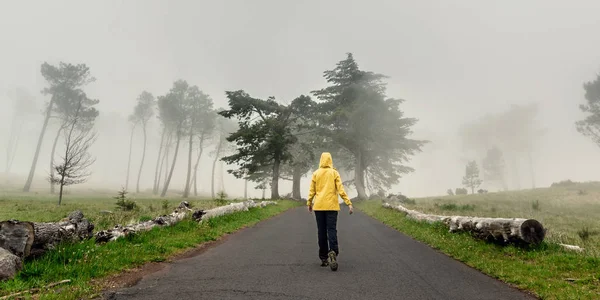 霧深い朝に美しい道を歩く女性旅行者 — ストック写真