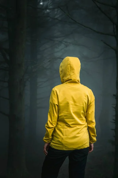 Viaggiatore Femminile Godendo Foresta Una Mattina Nebbiosa — Foto Stock