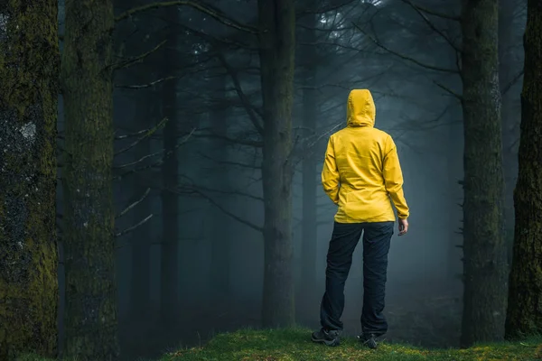 Female Traveler Enjoying Forest Foggy Morning — Stock Photo, Image