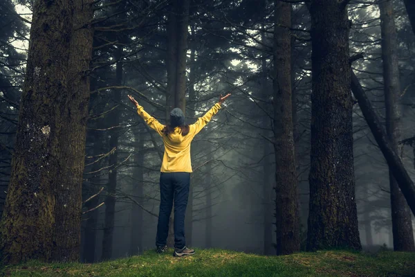 Reisende Mit Erhobenen Armen Genießt Den Wald Einem Nebligen Morgen — Stockfoto