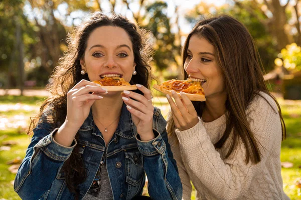 Vrienden Het Park Eten Pizza — Stockfoto