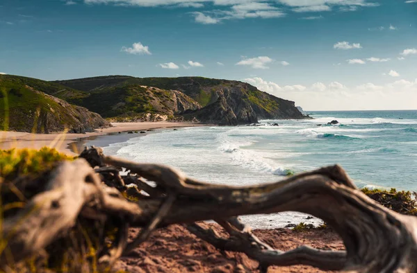 Beautiful Desert Beach Från Portugal — Stockfoto
