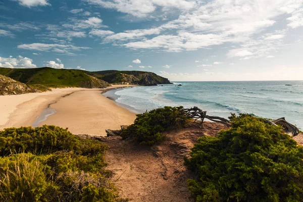 Piękna Pustynna Plaża Portugalii — Zdjęcie stockowe