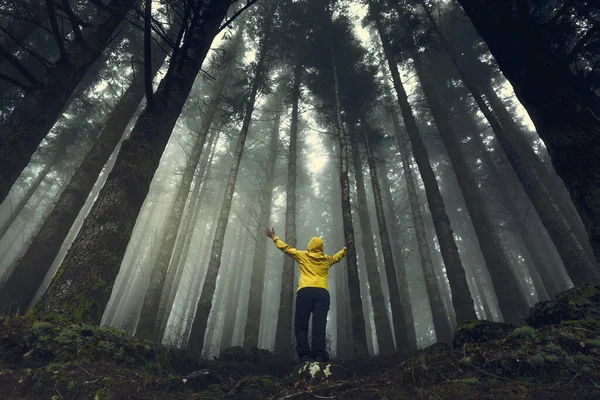 Viajante Feminina Com Braços Levantados Apreciando Floresta Uma Manhã Nebulosa — Fotografia de Stock