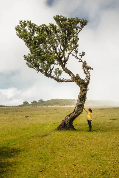 Mujer Viajera Sintiendo Poder Naturaleza Bosque Antiguo —  Fotos de Stock