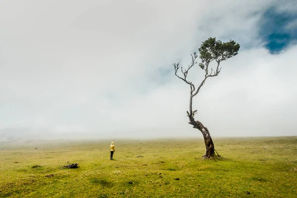 Wanderin Spürt Die Kraft Der Natur Einem Uralten Wald — Stockfoto