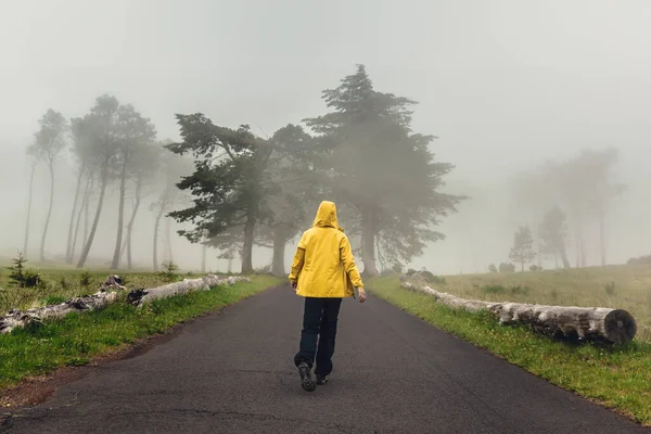 Viaggiatore Femminile Che Cammina Una Bella Strada Una Mattina Nebbiosa — Foto Stock