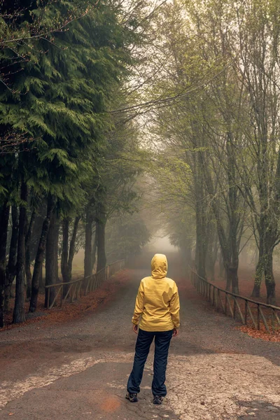 在雾蒙蒙的早晨 女旅行家走在一条美丽的路上 — 图库照片