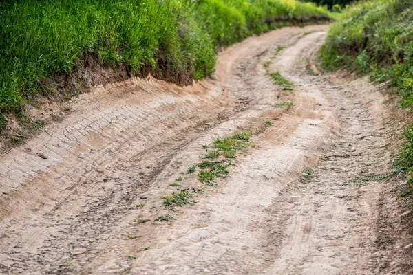 Trockener Sommer Feldweg Nahaufnahme mit selektivem Fokus — Stockfoto