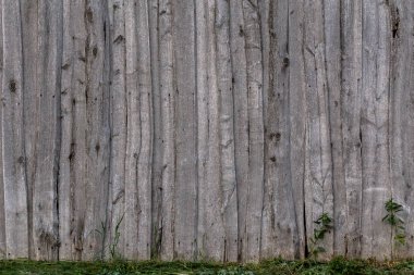 yeşil çim ile gri ahşap yıpranmış ahır duvar düz arka plan şablonu
