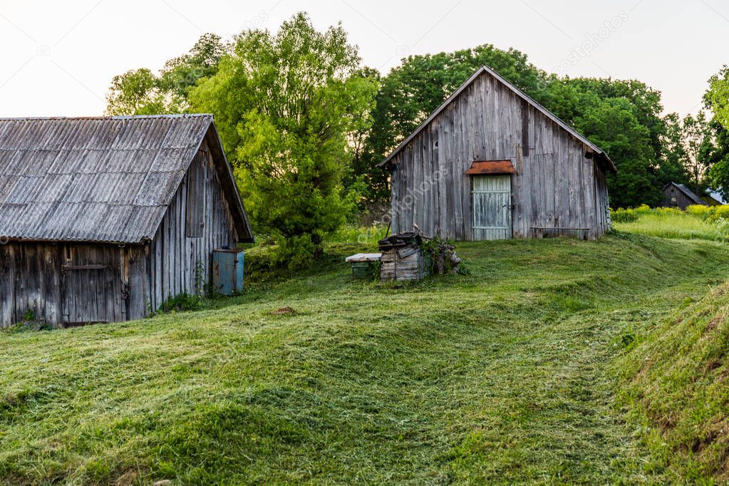 old wooden barns on yard with mowed lawn at summer evening