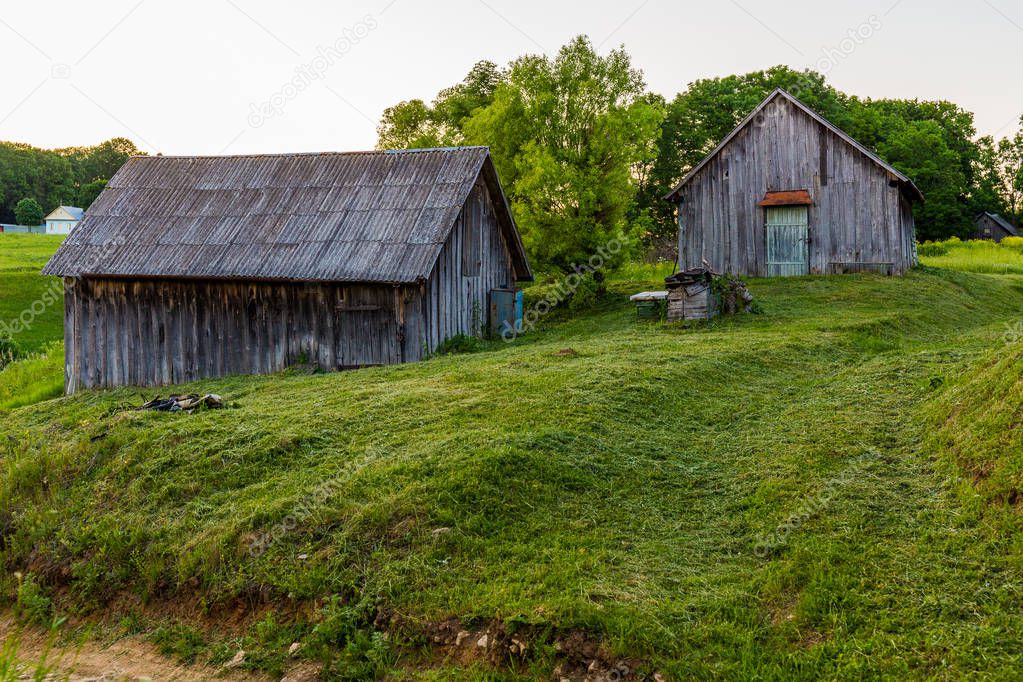 old wooden barns on yard with mowed lawn at summer evening