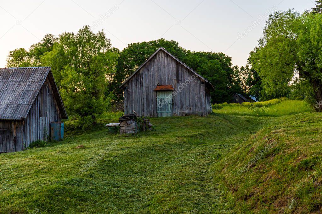 old wooden barns on yard with mowed lawn at summer evening