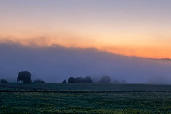 early morning sunrise landscape with bushes in fog near river at summer