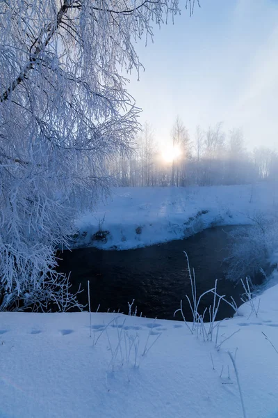 Neblig winterliches Flussufer am Morgen mit Sonnenschein zwischen Birken - vertikaler Rahmen — Stockfoto