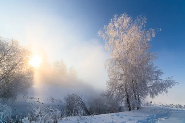 Nebliges Winterflussufer am Morgen mit Sonnenschein zwischen Birken - horizontaler Rahmen — Stockfoto