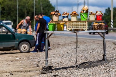 Tula, Rusya - 21 Temmuz 2019: seçici odaklı ve bulanık araba ve insan arka plan ile yol kenarında mantar satışı