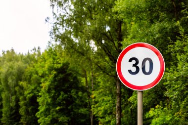 Seçici odaklı yeşil orman arka planında saatte 30 kilometre yol işareti hız sınırı
