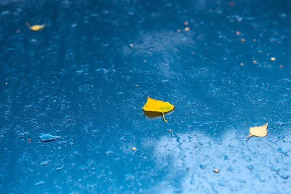 Nasse aquamarinblaue Metallic-Autooberfläche am herbstlichen regnerischen Morgen mit gelben Birkenblättern - selektiver Fokus mit Unschärfe — Stockfoto